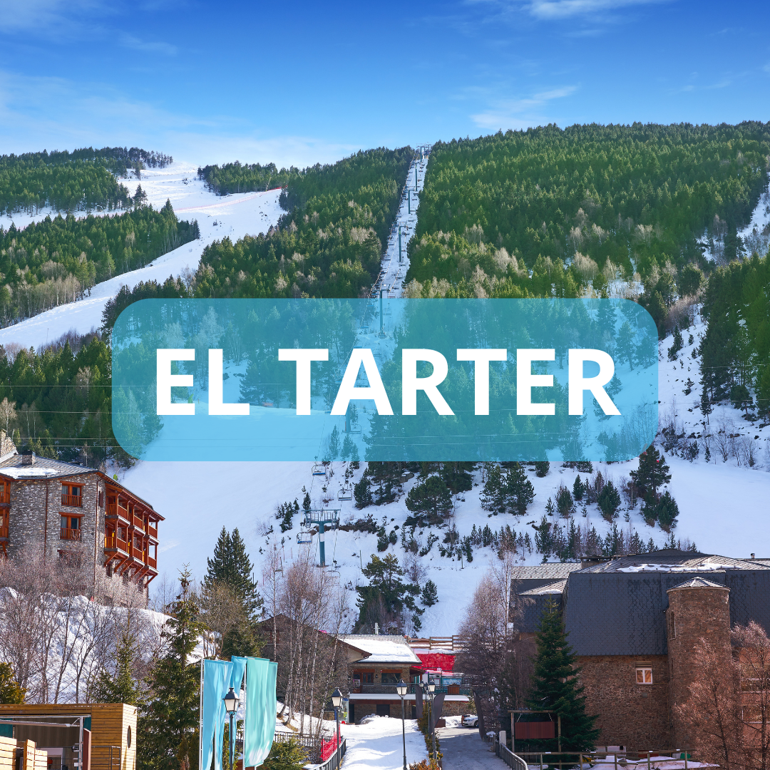 viaje nieve tarter