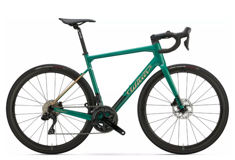 Road Bike Rental Malaga